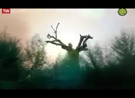 تاثیرات صلوات روی انسان